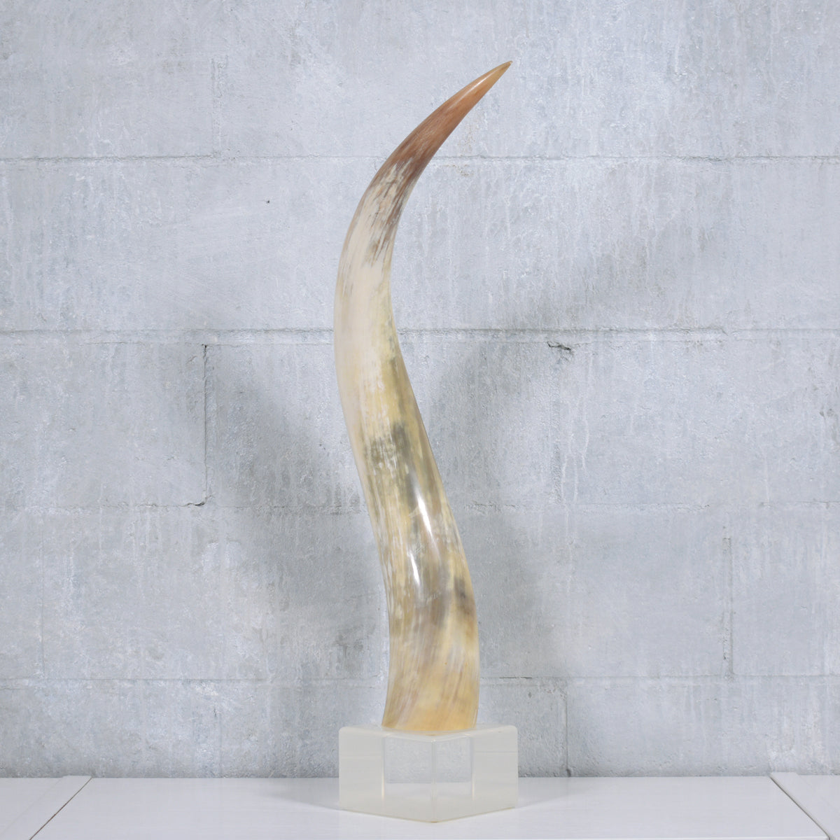 Pair of Natural Longhorn Steer on Lucite Bases