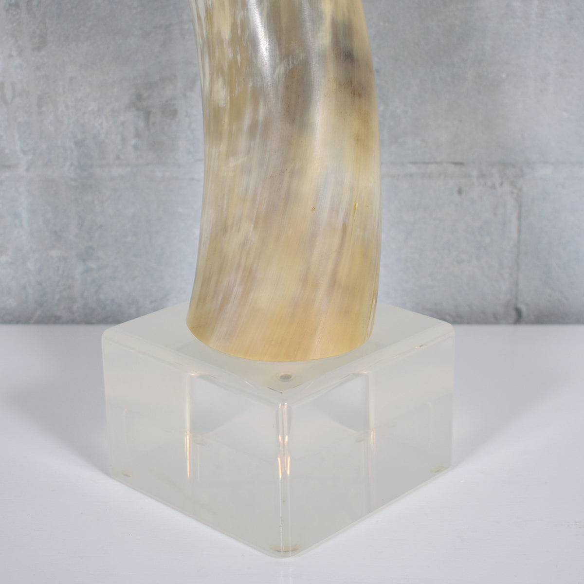 Pair of Natural Longhorn Steer on Lucite Bases