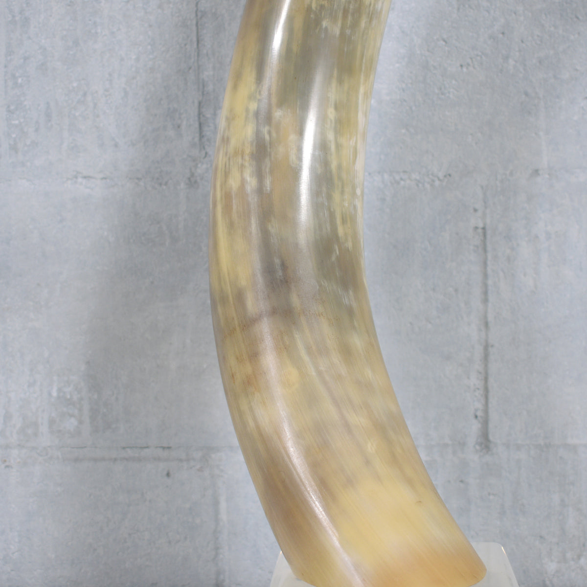 Pair of Natural Longhorn Steer on Lucite Bases