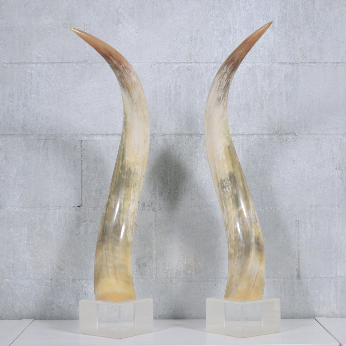 Pair of Natural Longhorn Steer on Lucite Bases