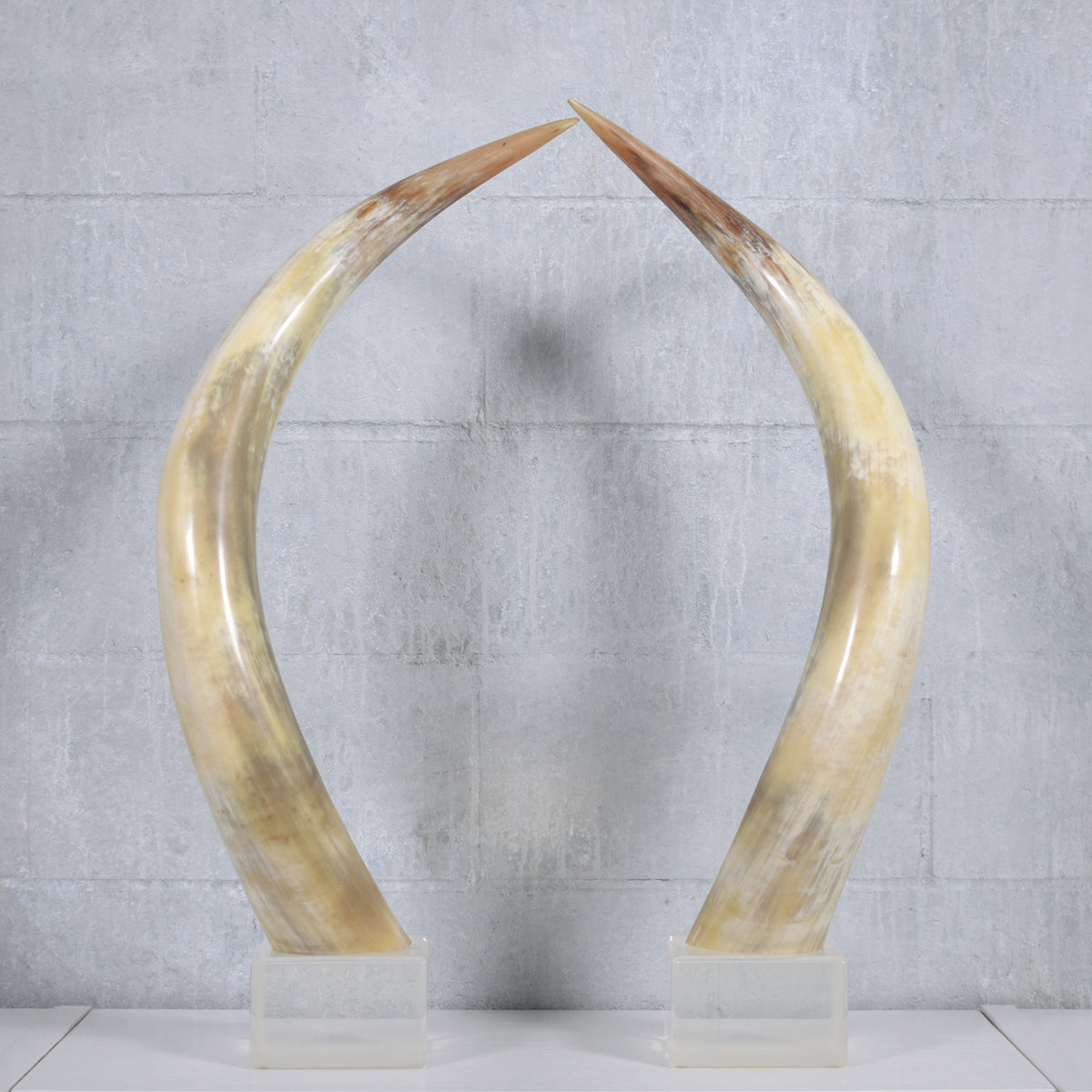 Pair of Natural Longhorn Steer on Lucite Bases