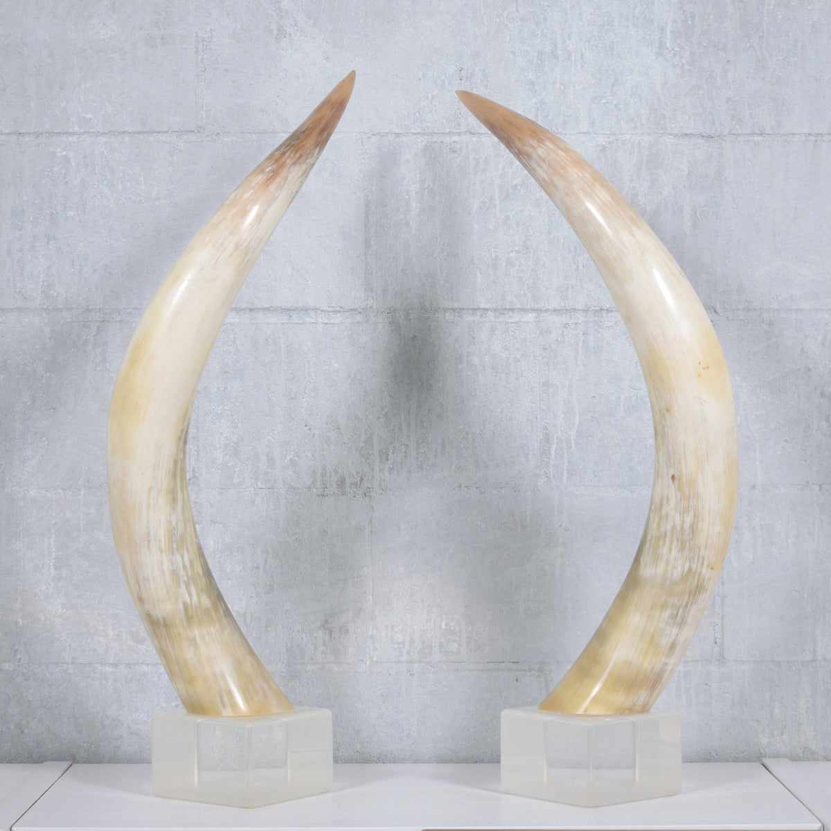 Pair of Natural Longhorn Steer on Lucite Bases
